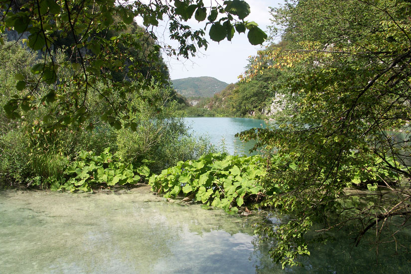 Obraz 142